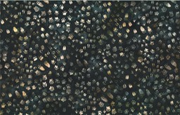 S2350-537-Blacklight