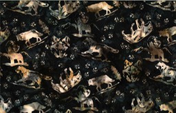 S2351-537-Blacklight