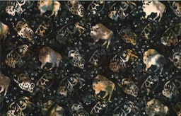 S2352-537-Blacklight